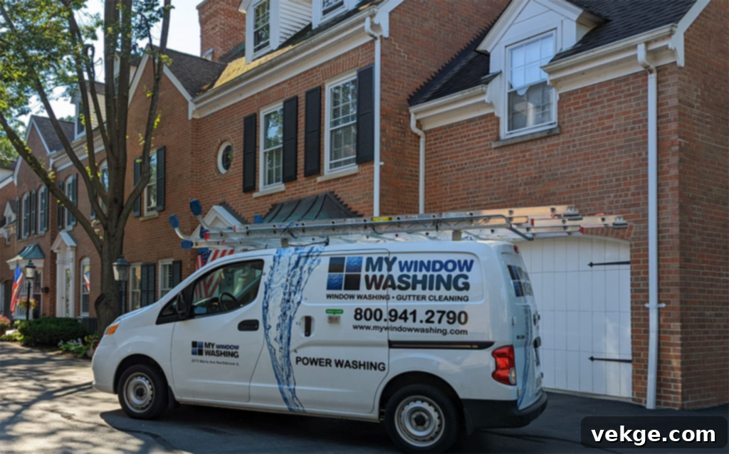When to Hire Professional Gutter Cleaners