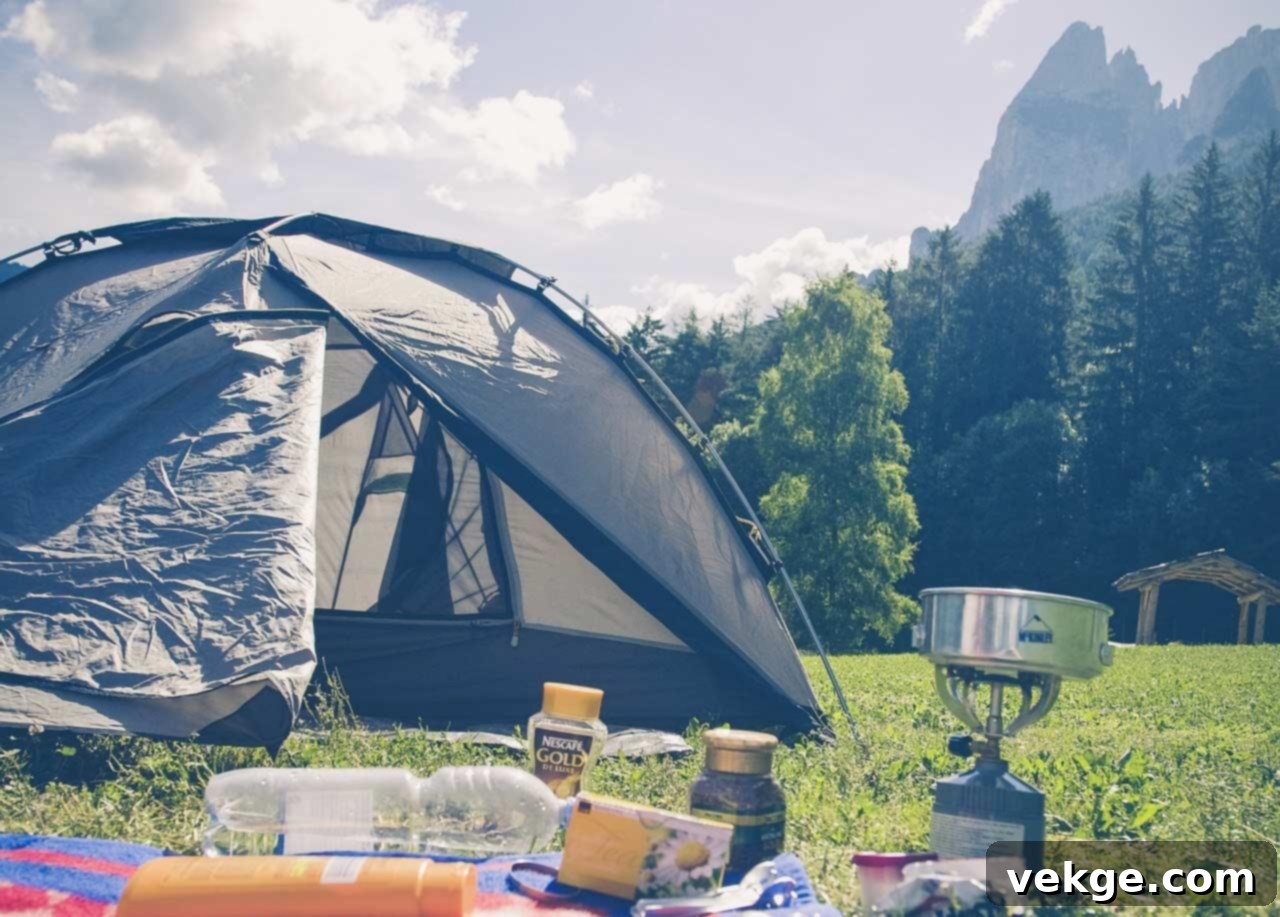 Roof boxes are ideal for family road trips, adventure gear, and maximizing vehicle storage for a comfortable journey.