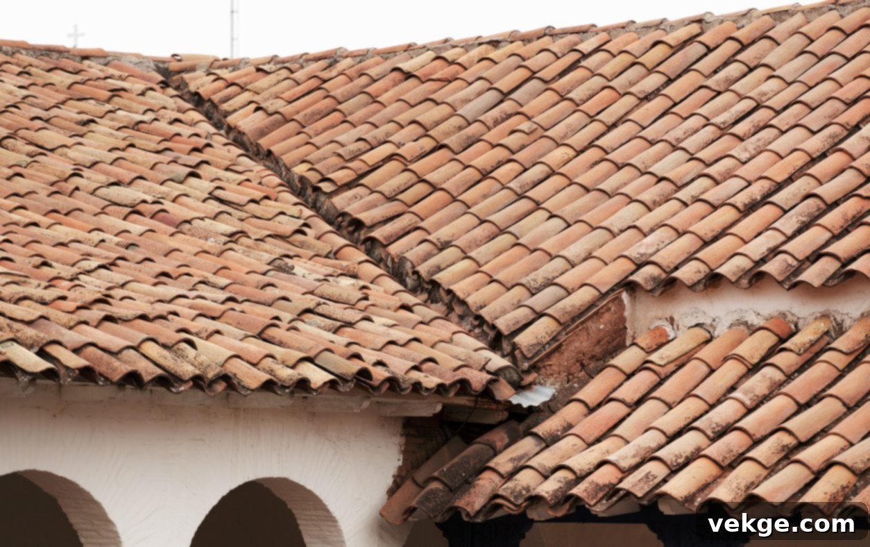Concrete and Clay Roofs