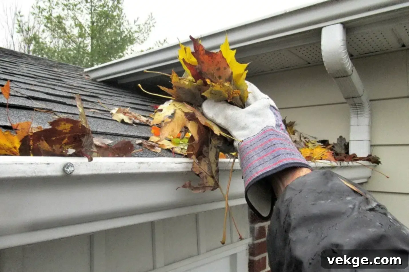 Preventing Structural Damage from Clogged Gutters