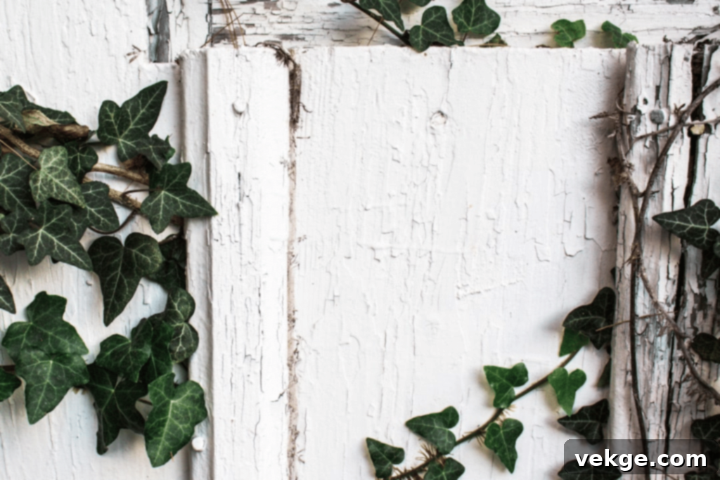 Rustic Design Embraces Nature’s Beauty