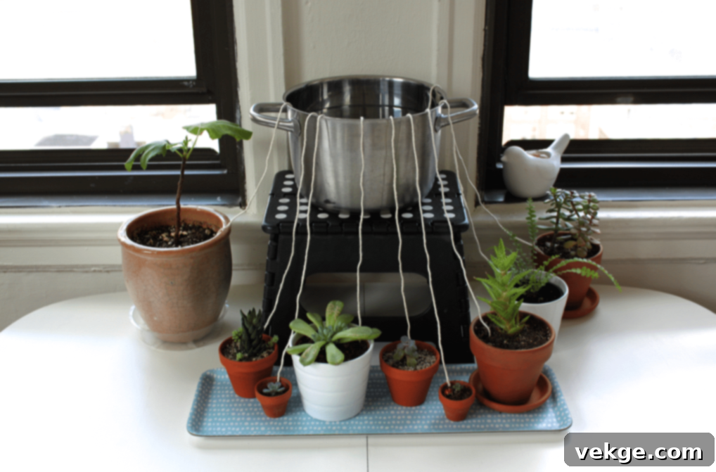 Utilize Self-Watering Systems