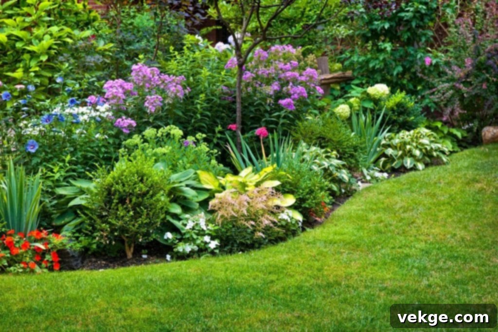 Choosing the Right Perennial Plants