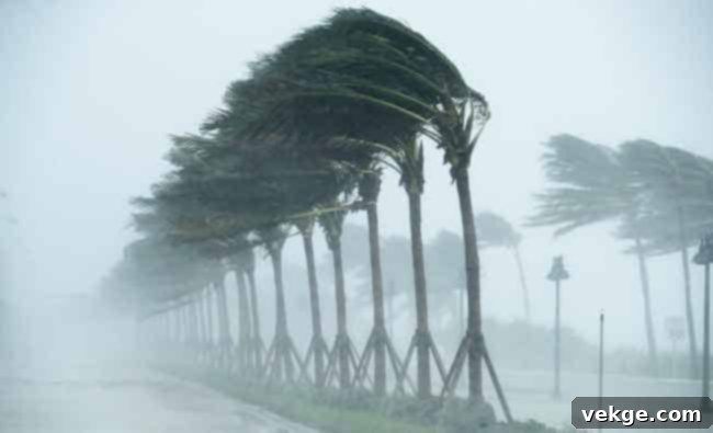 High Winds