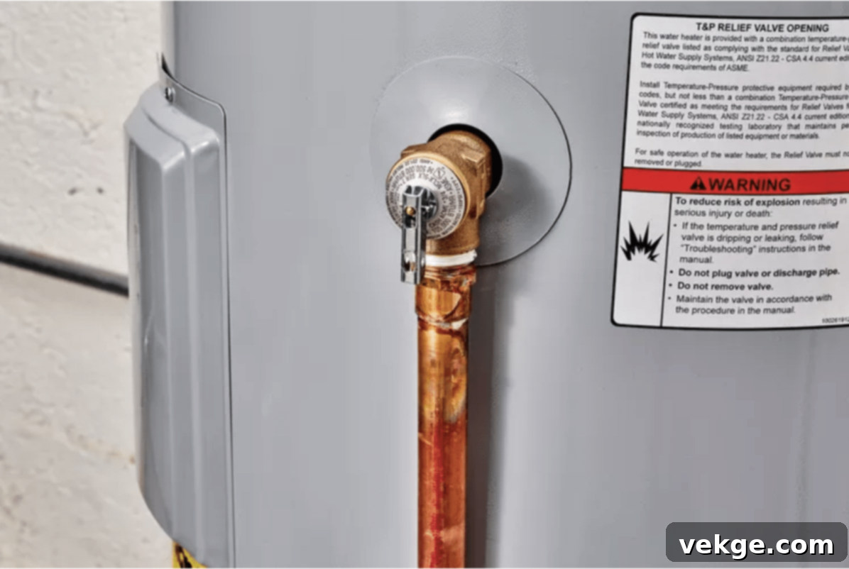 Screeching or Whistling sounds from water heater