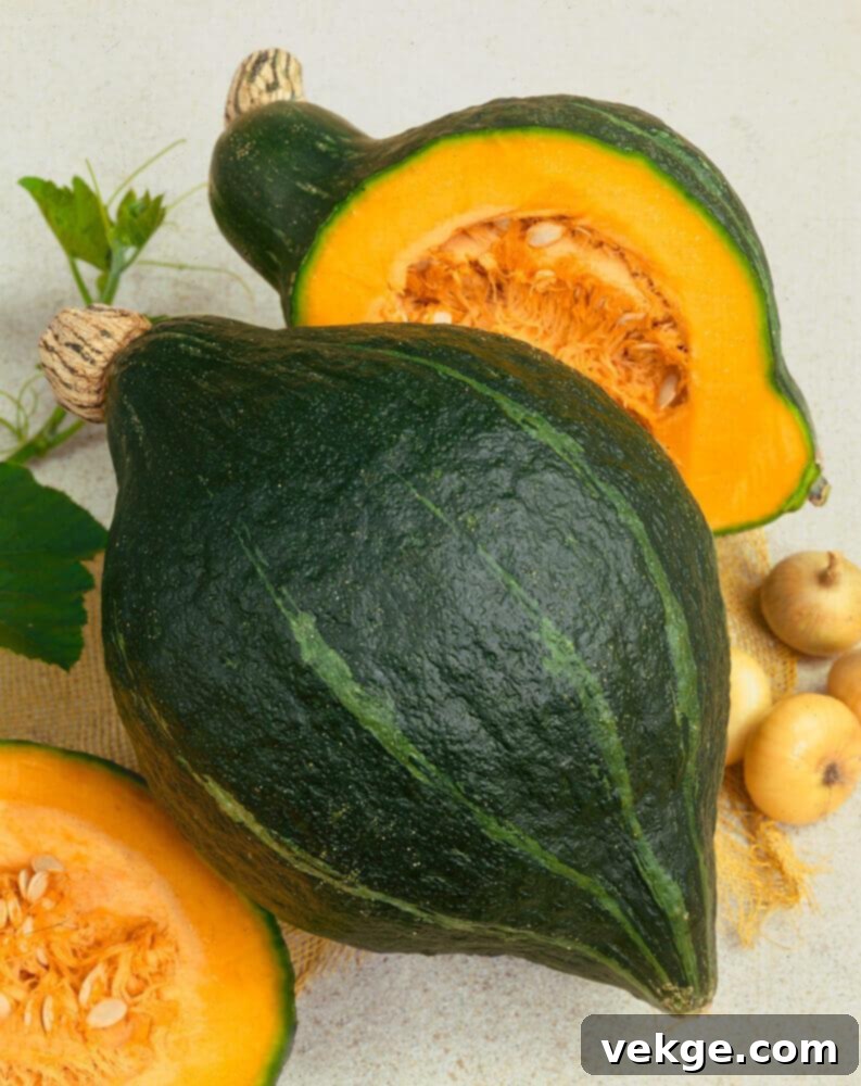 Hubbard_Squash