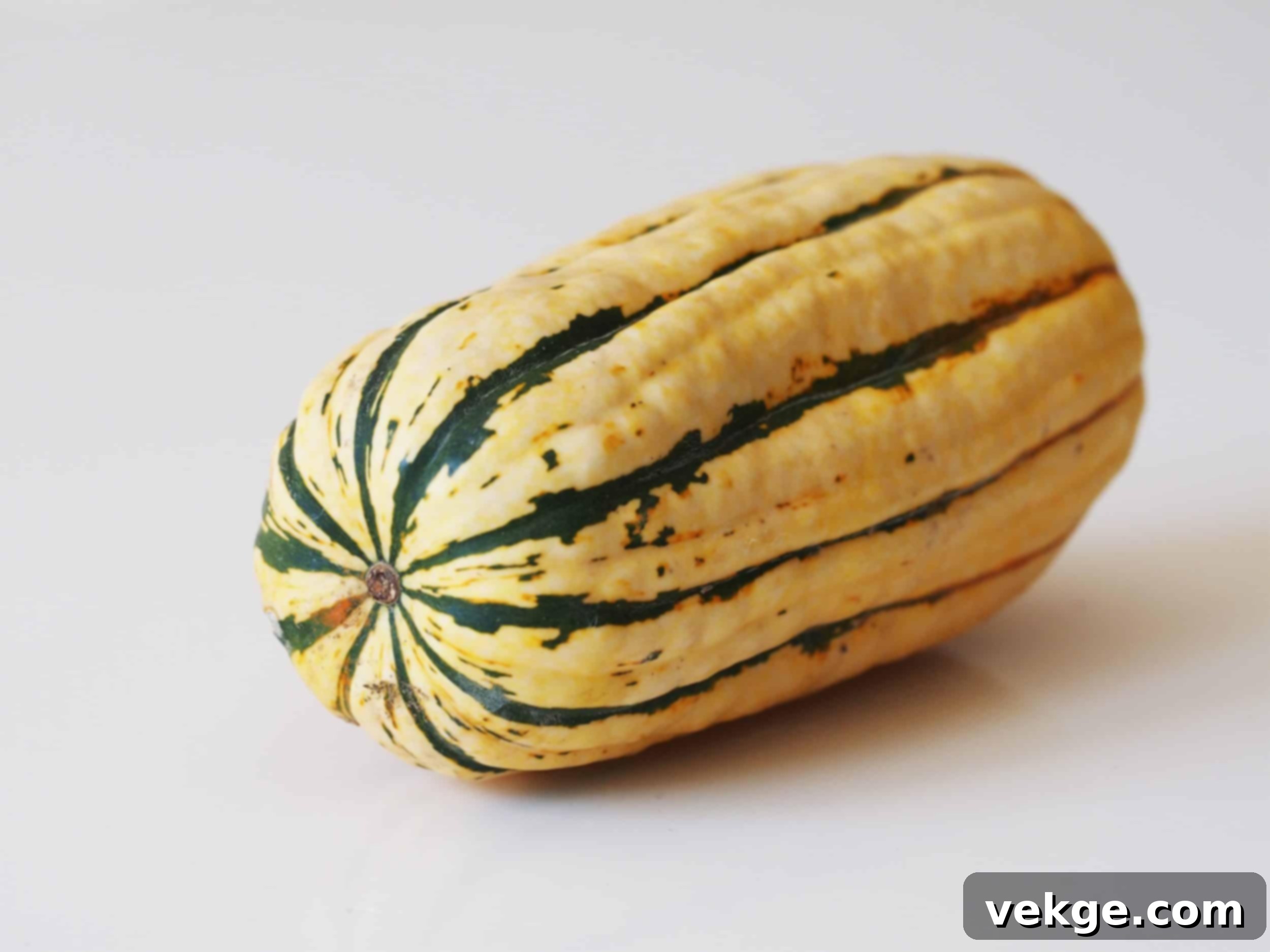 Delicata_Squash