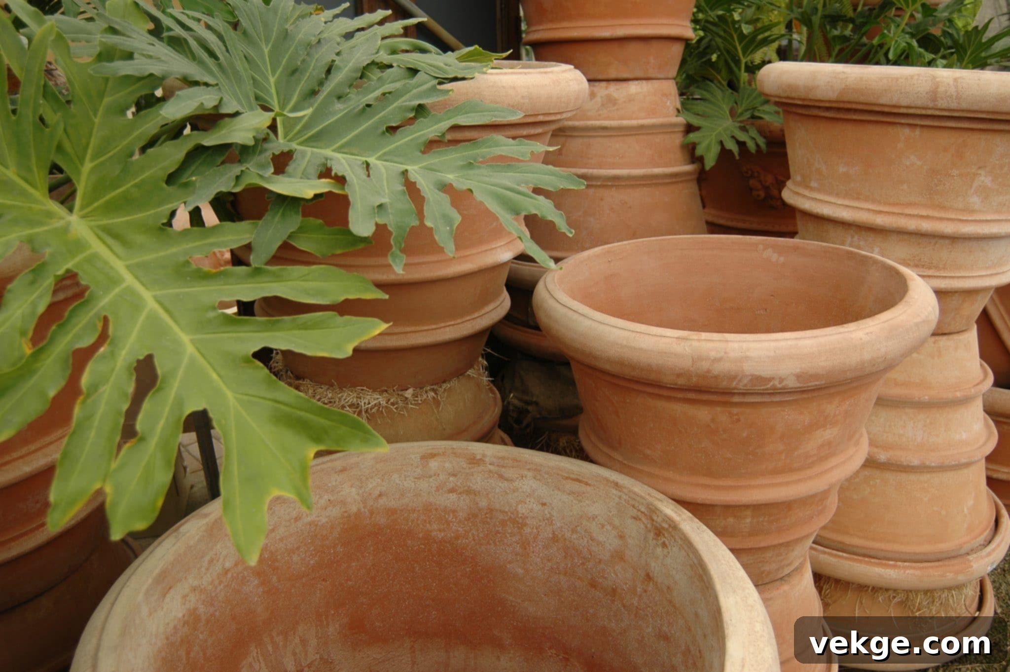 Classic Terracotta Planters for Gardens