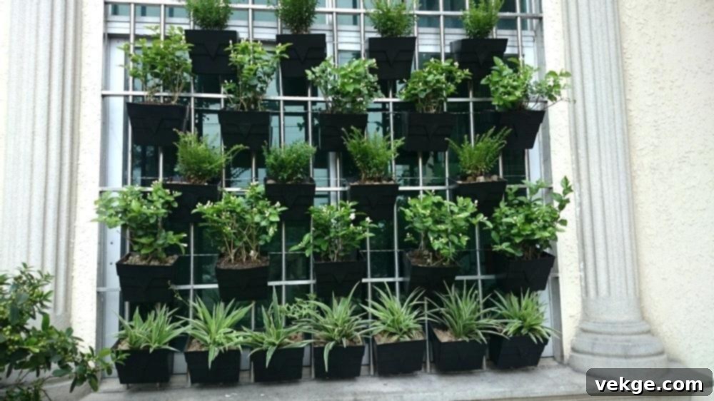 Hanging Planters for Space-Saving Vertical Gardens