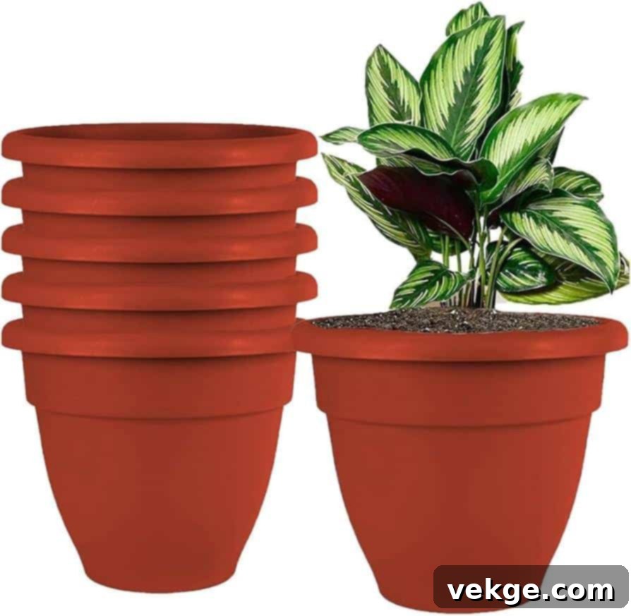 Lightweight Plastic Planters for Versatile Gardening