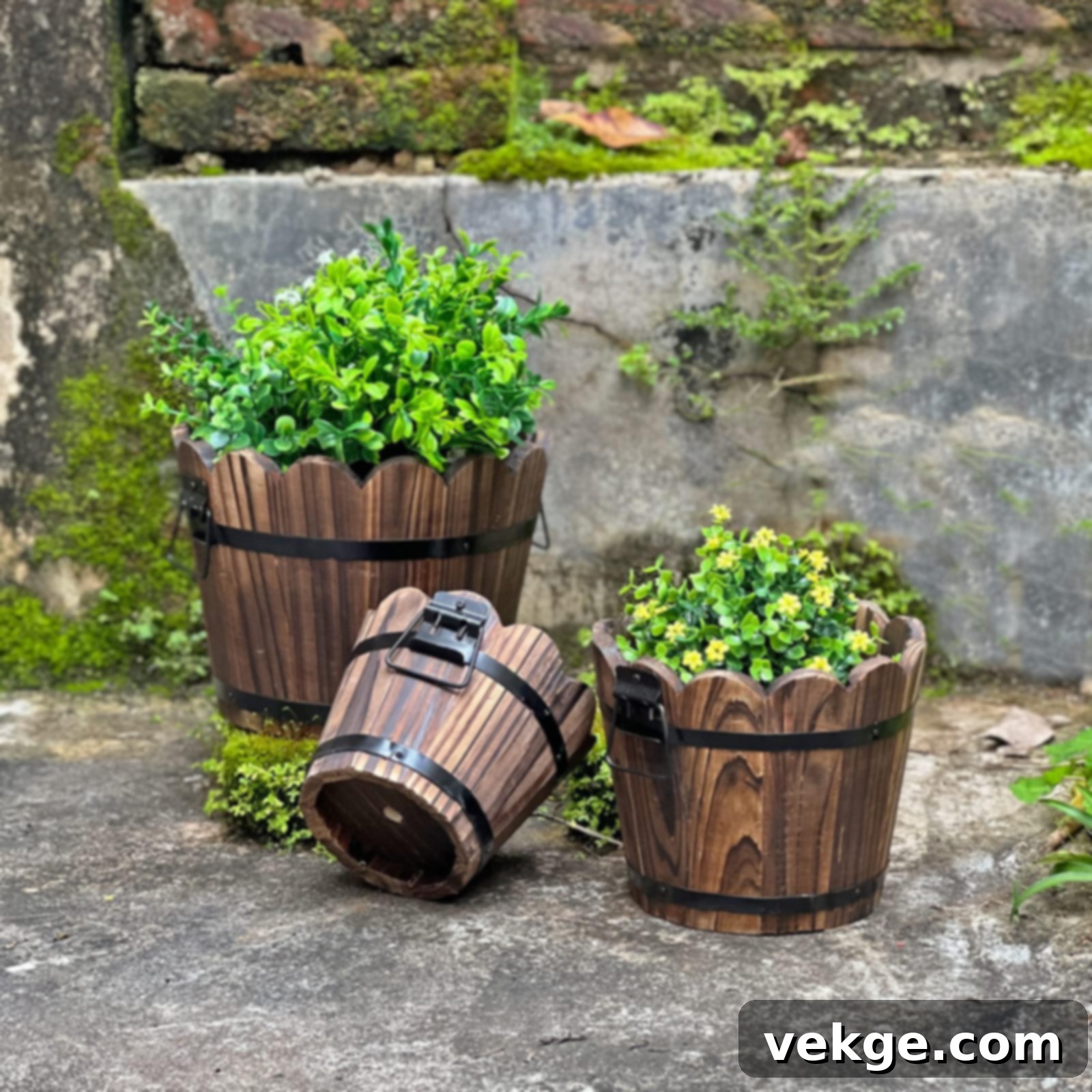 Rustic Wooden Barrel Planters for a Countryside Vibe