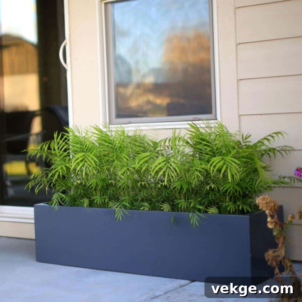 Frost-Resistant Planters for Winter Gardening
