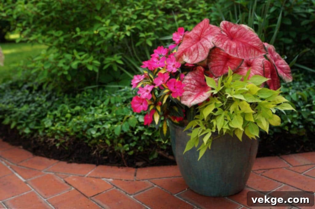 Tropical Planters for Humid Gardens