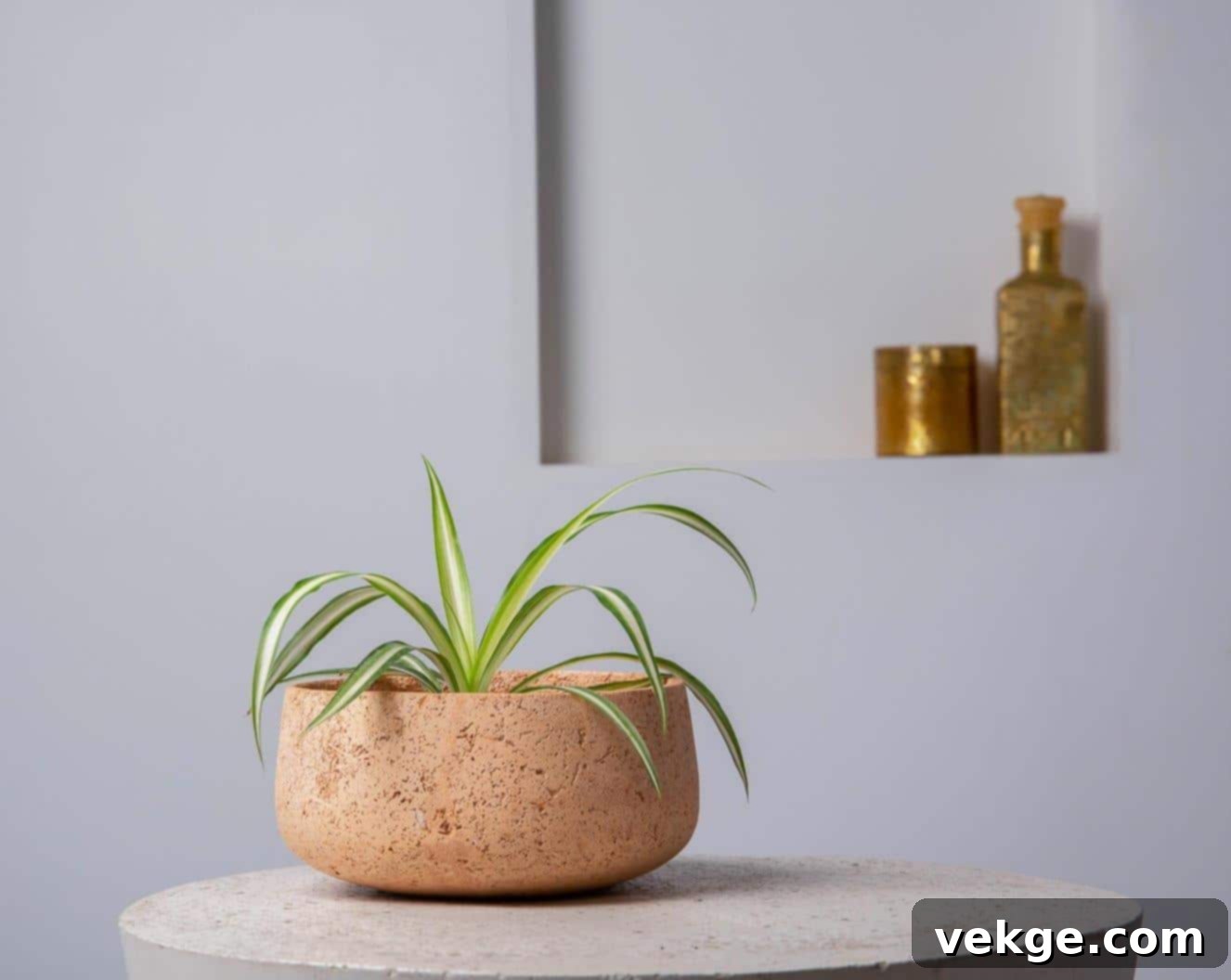 Modern Concrete Planters for Minimalist Gardens