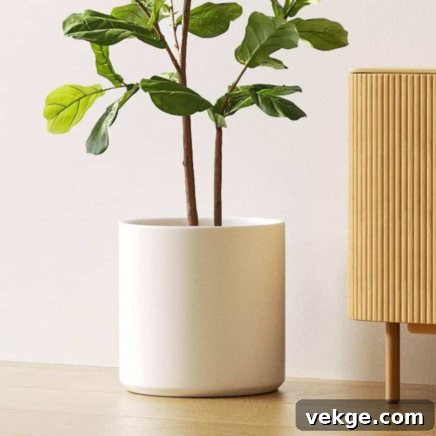 Small Cylinder Planters for Patios and Windowsills