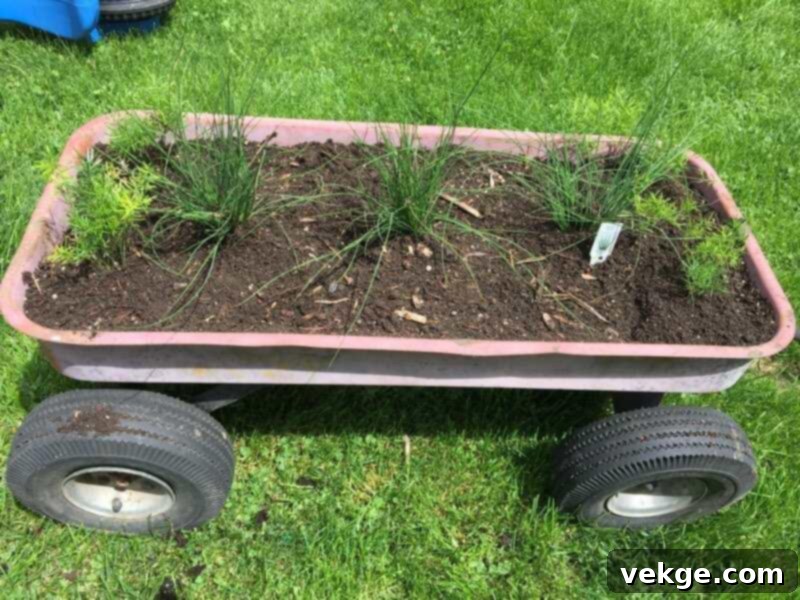 Antique Wagon Upcycled for Large-Scale Floral Displays