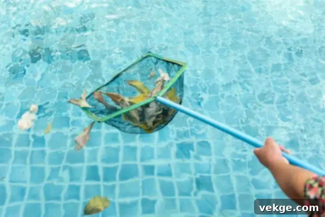 The Role of Pool Skimmers in Maintaining a Clean Pool - Essential for debris removal and water quality.