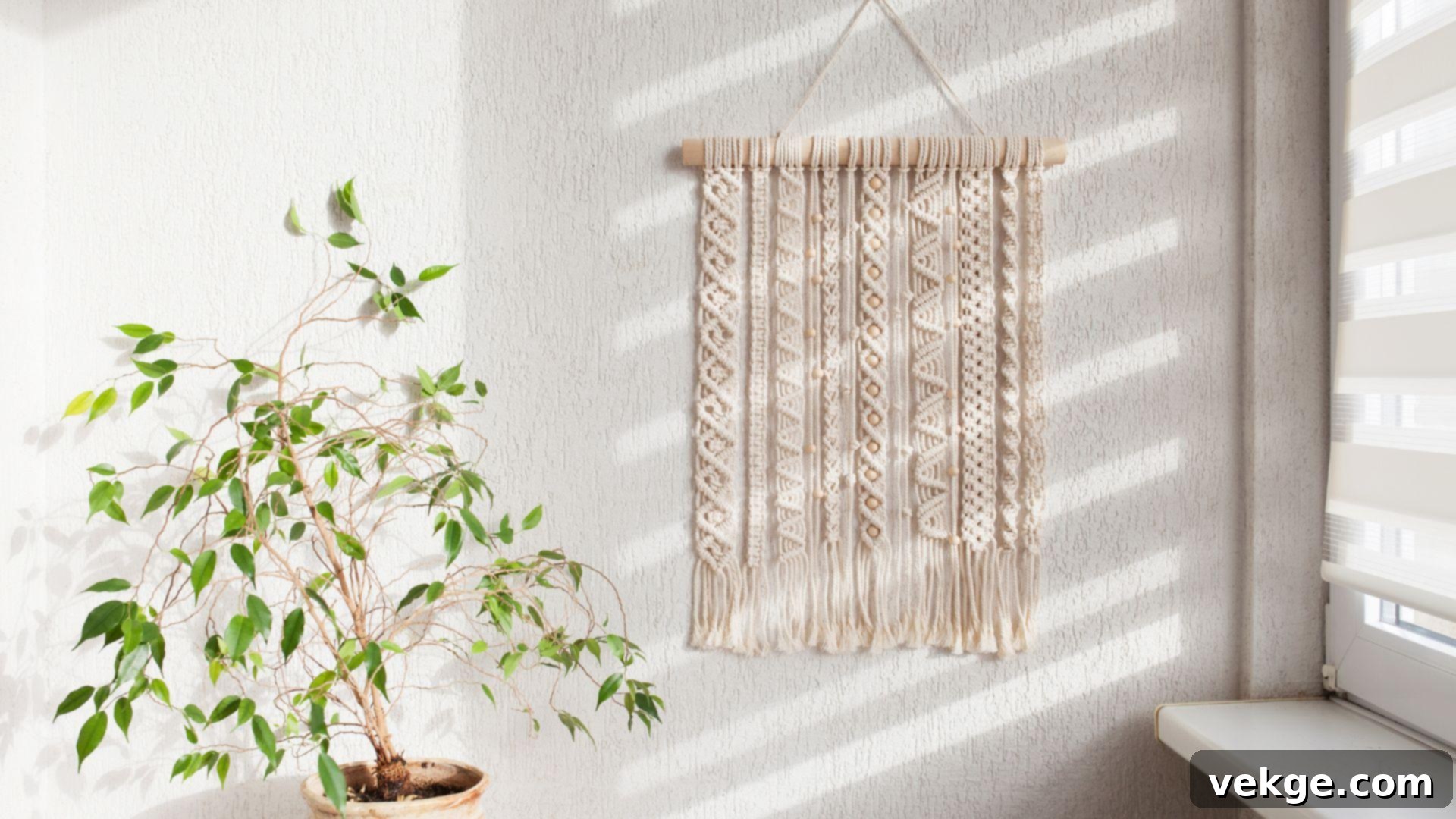 Macrame_Hangings