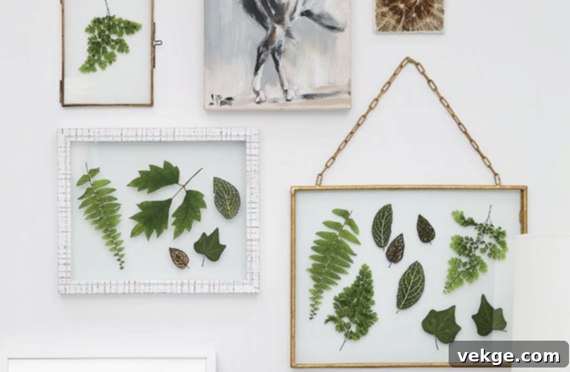 Pressed-Leaf