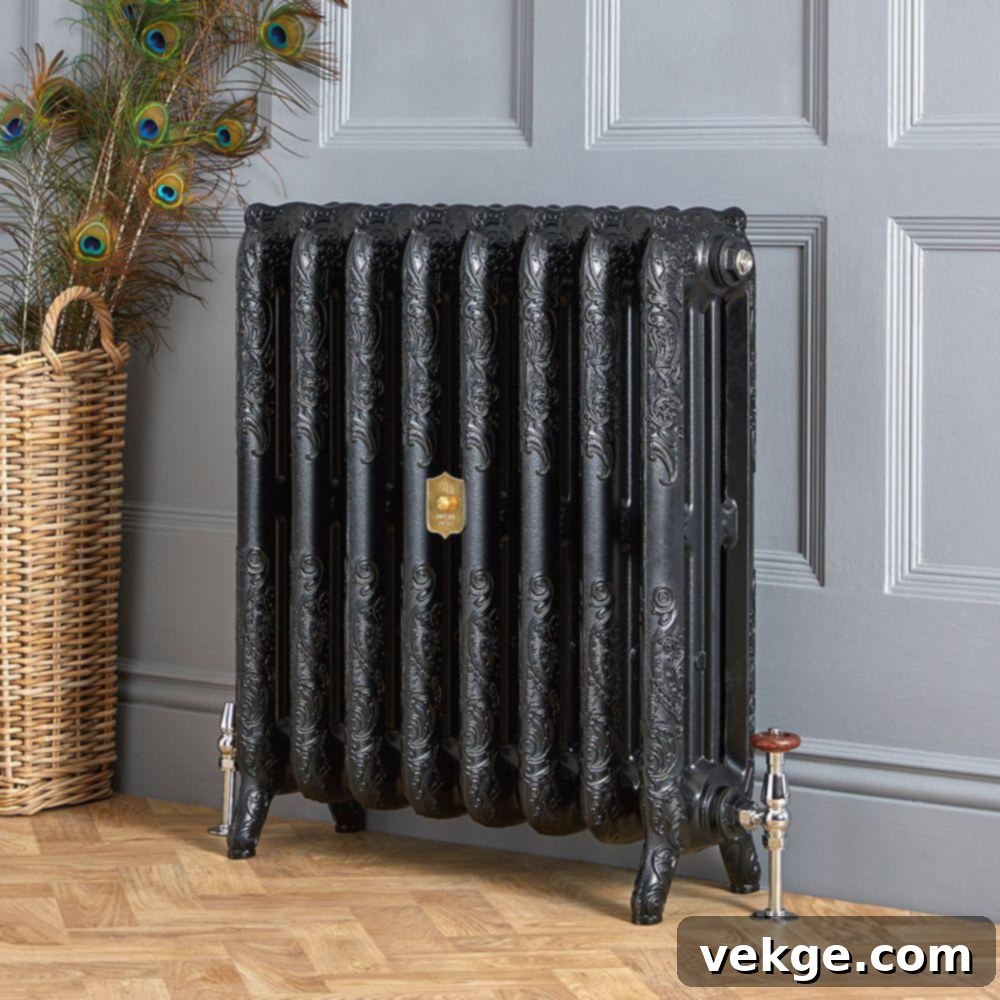 Intricate Black Cast Iron Radiator with Floral Designs
