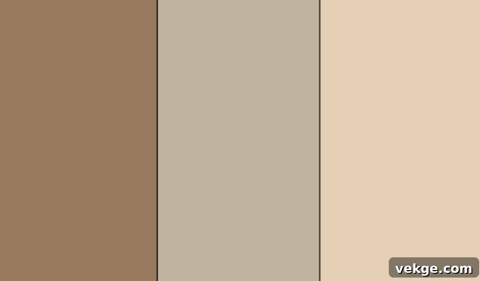Natural_Sand_and_Driftwood_Tones