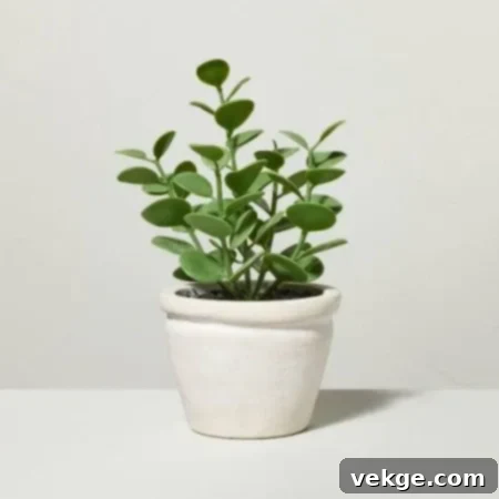 Small_Potted_Plant