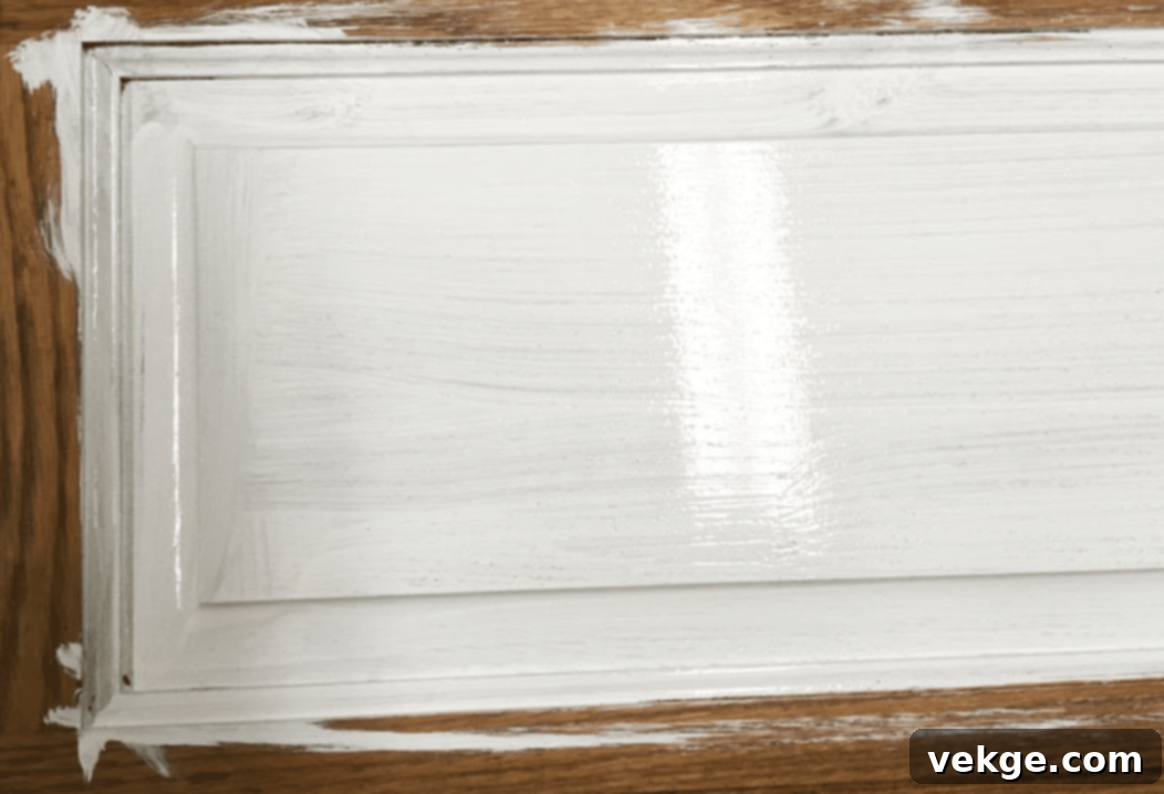 Paint_with_a_Light_Coat