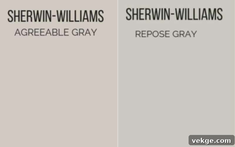 Soft Grays - a living room with gray furniture and Accessible Beige walls