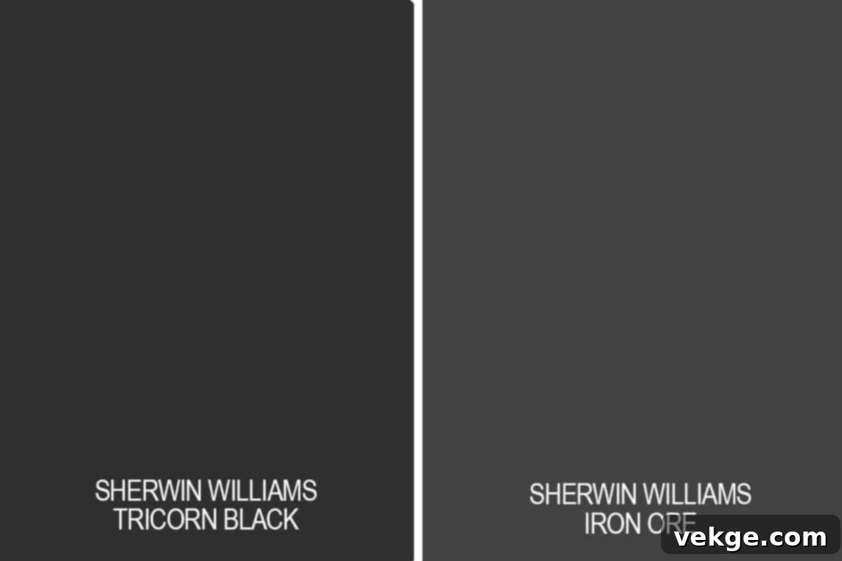 Rich Blacks - a modern living room with black accents and Accessible Beige walls