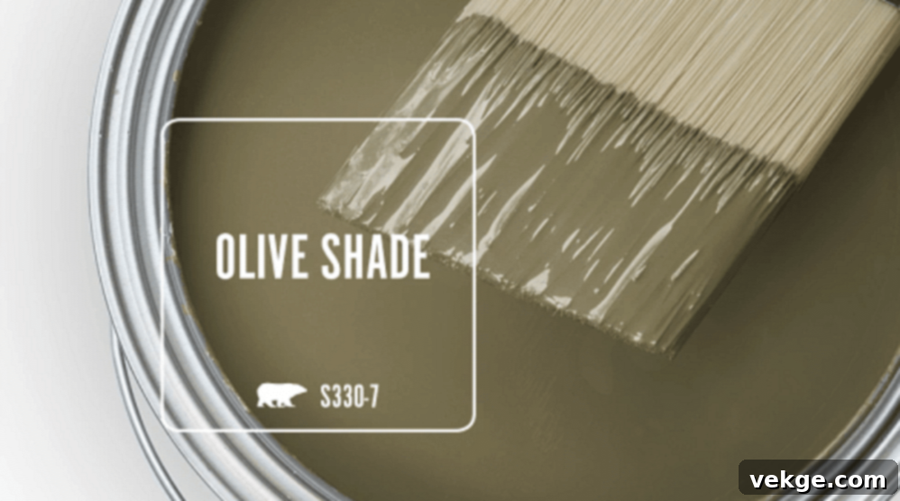 Dark_Olive_by_Behr