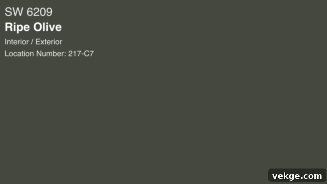 Ripe_Olive_SW_6209_by_Sherwin-Williams