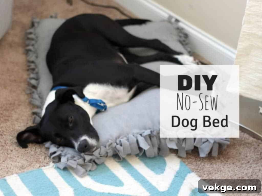 No-Sew Dog Bed - Easy Fleece Project