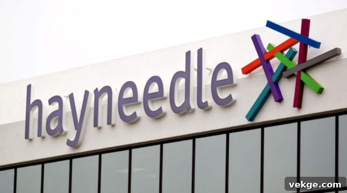 Hayneedle