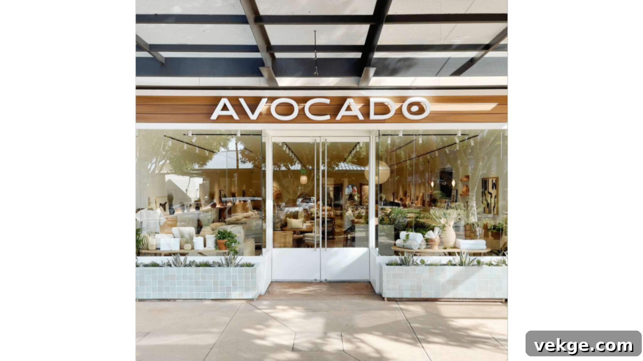 Avocado