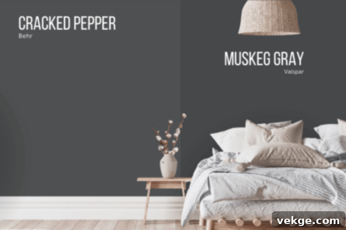 Valspar_Cracked_Pepper_CI55
