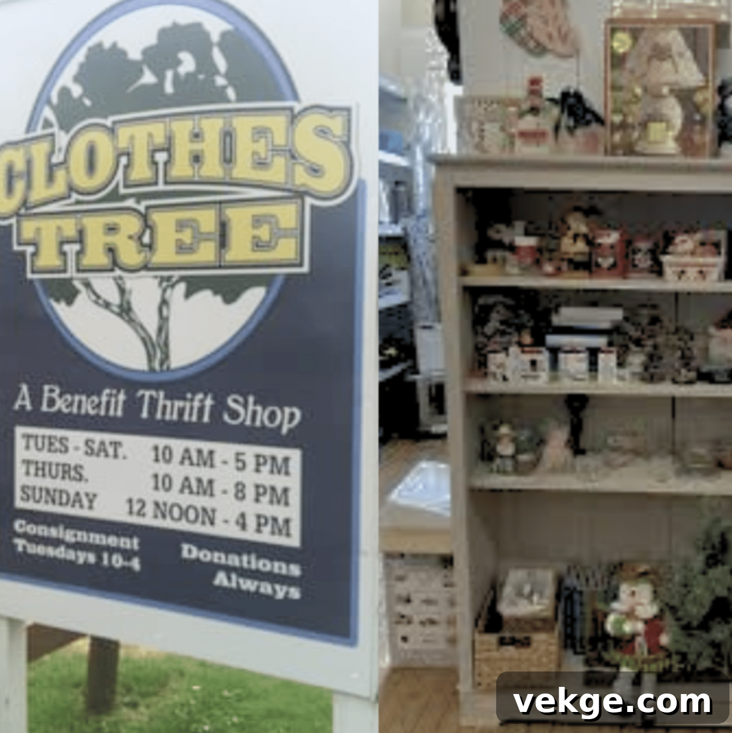 The Clothes Tree In Bantam
