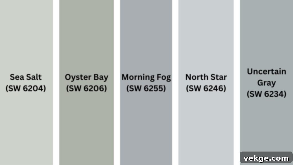 Sherwin-Williams Stardew vs. Other Blue-Gray Paint Colors