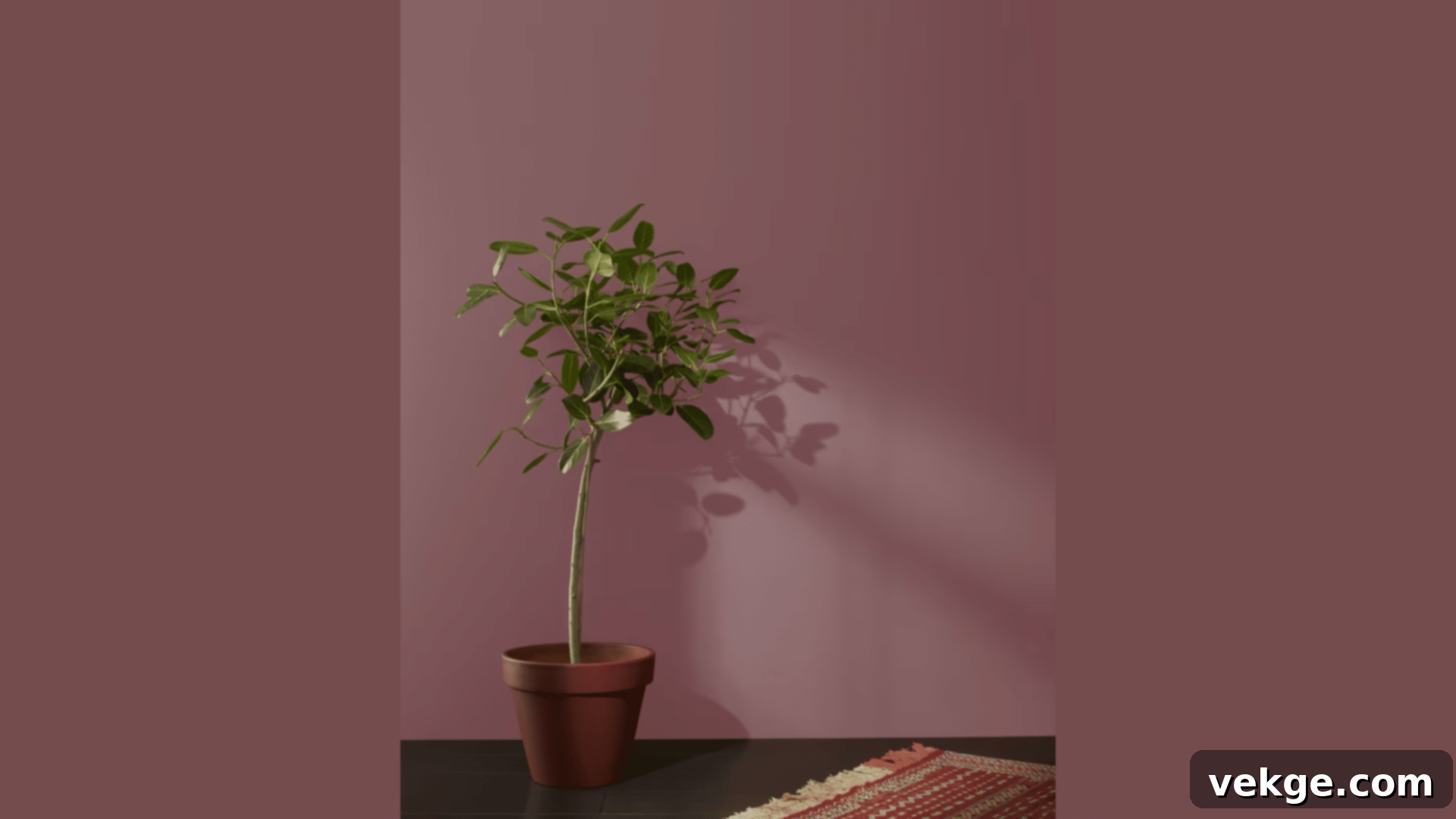 New_London_Burgundy_HC-61