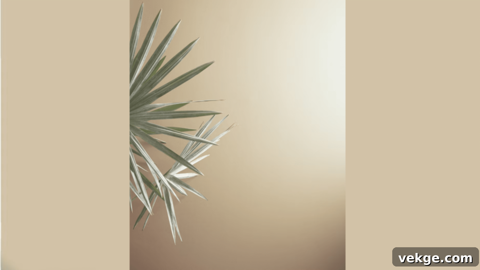 Shaker_Beige_HC-45
