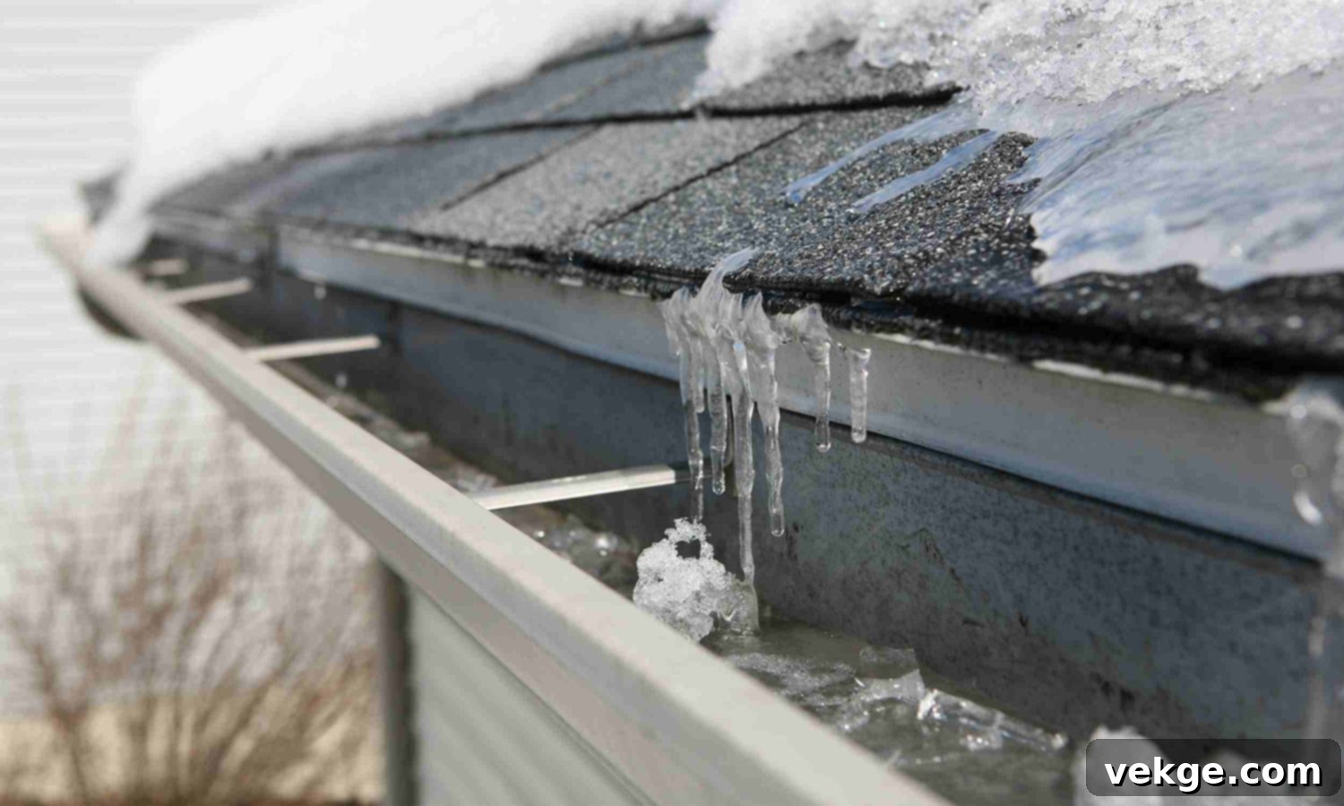 Monitor Roofs and Gutters for Ice Dams