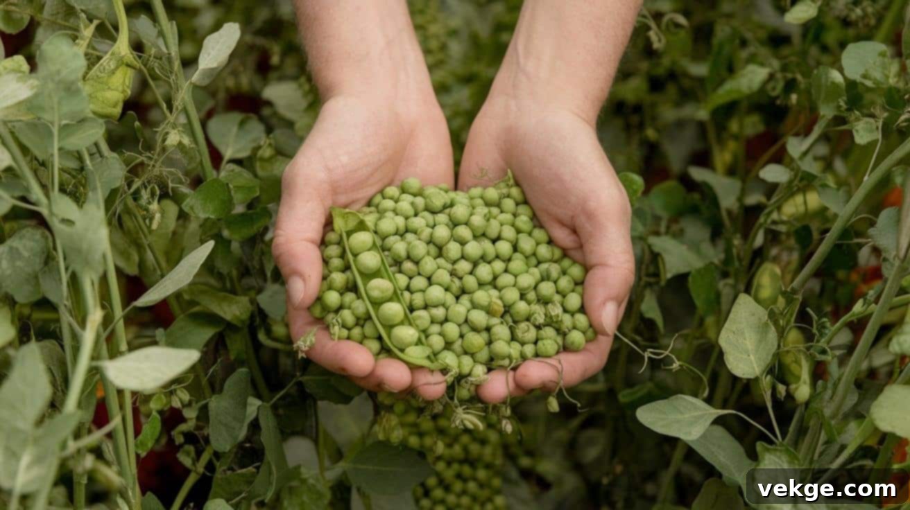 Additional_Crops
