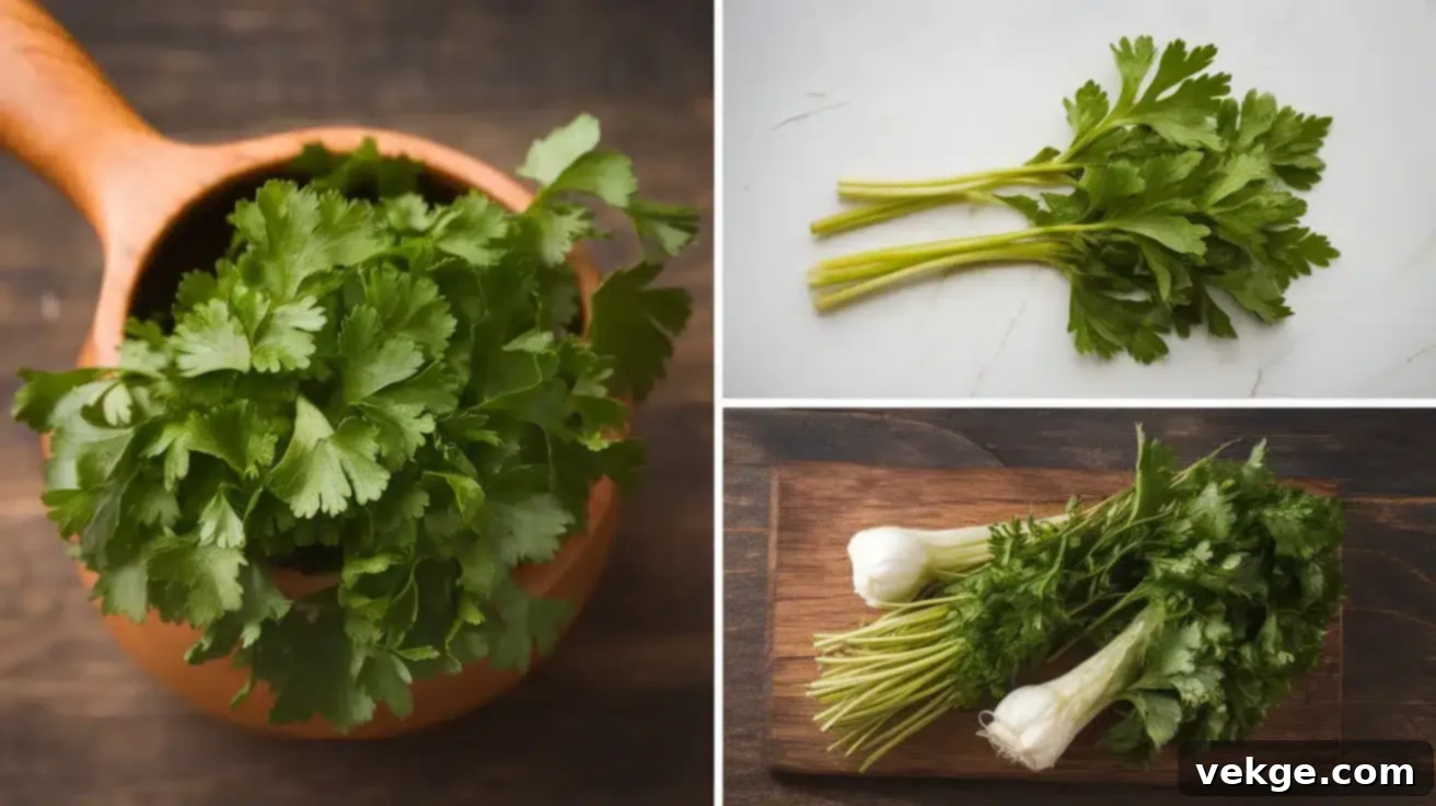Cold-Weather_Herbs
