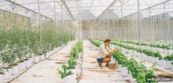 A person tending to a vibrant container garden on a patio, demonstrating renter-friendly gardening