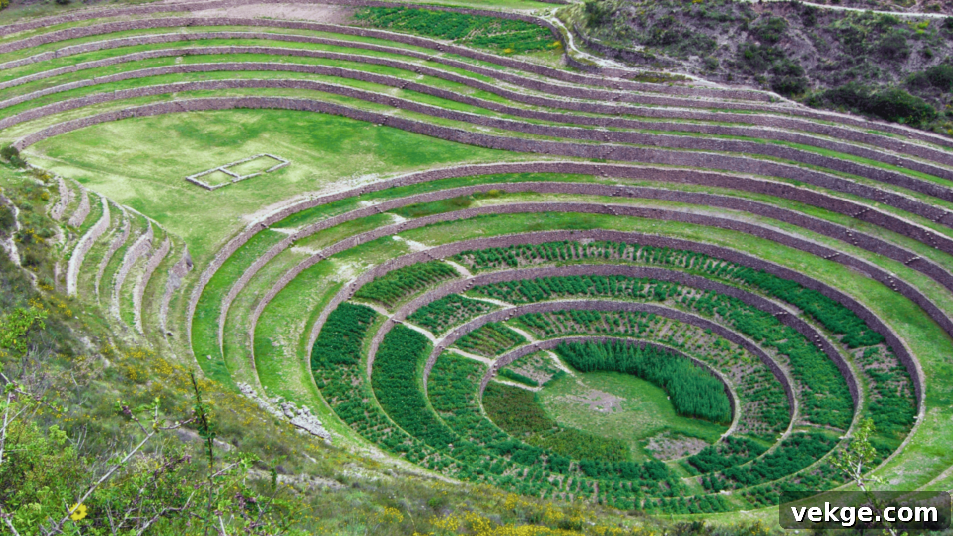 Moray