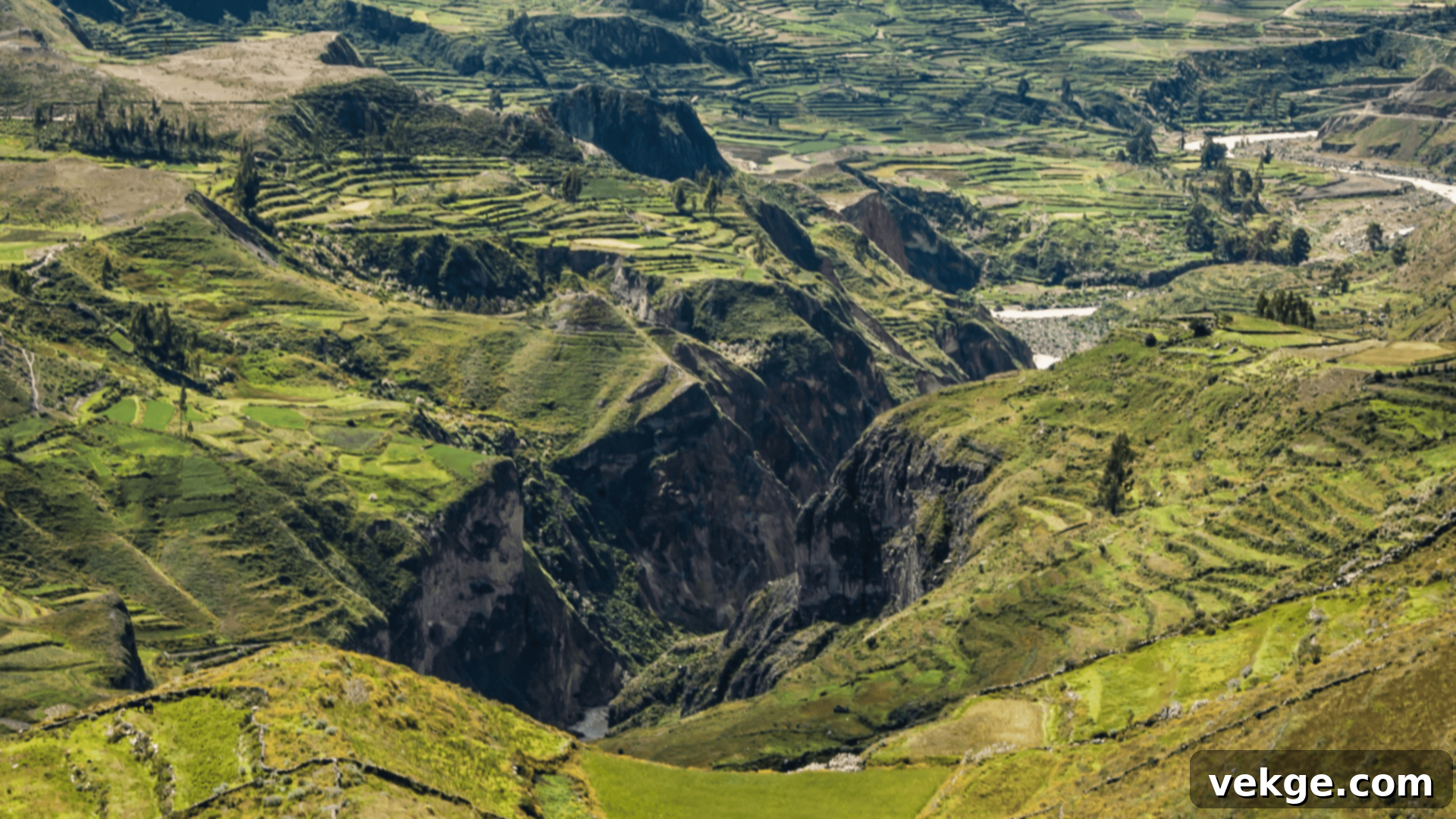 Colca_Canyon