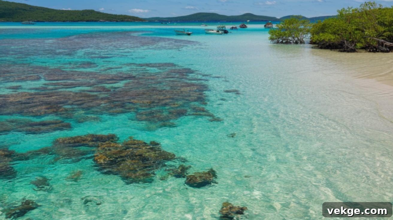 Morrocoy National Park, a coastal paradise with crystal-clear waters and coral reefs