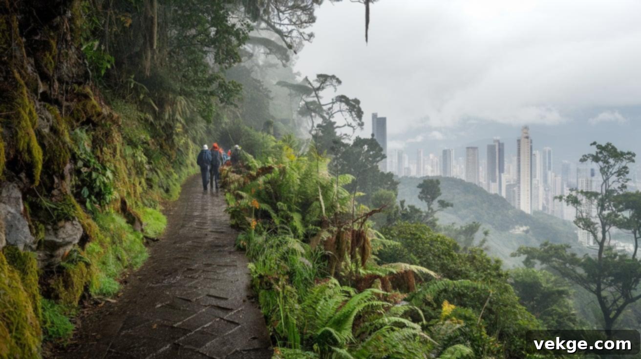 El Ávila National Park, a mountain range offering cloud forests and hiking trails overlooking Caracas