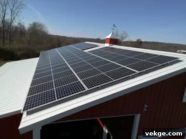 Next-Generation Solar Solutions