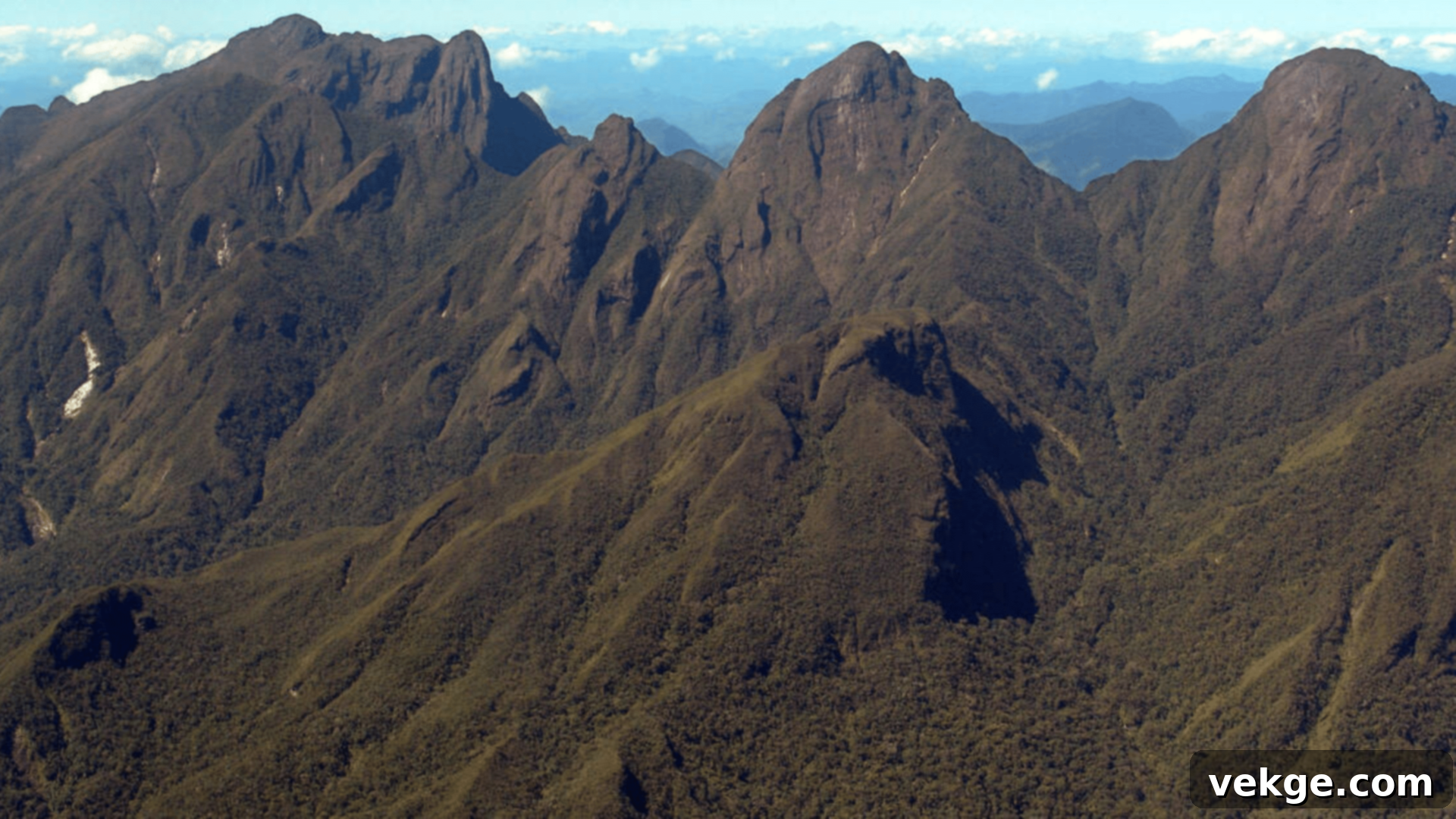 Rainforests of the Atsinanana - Madagascar UNESCO Site