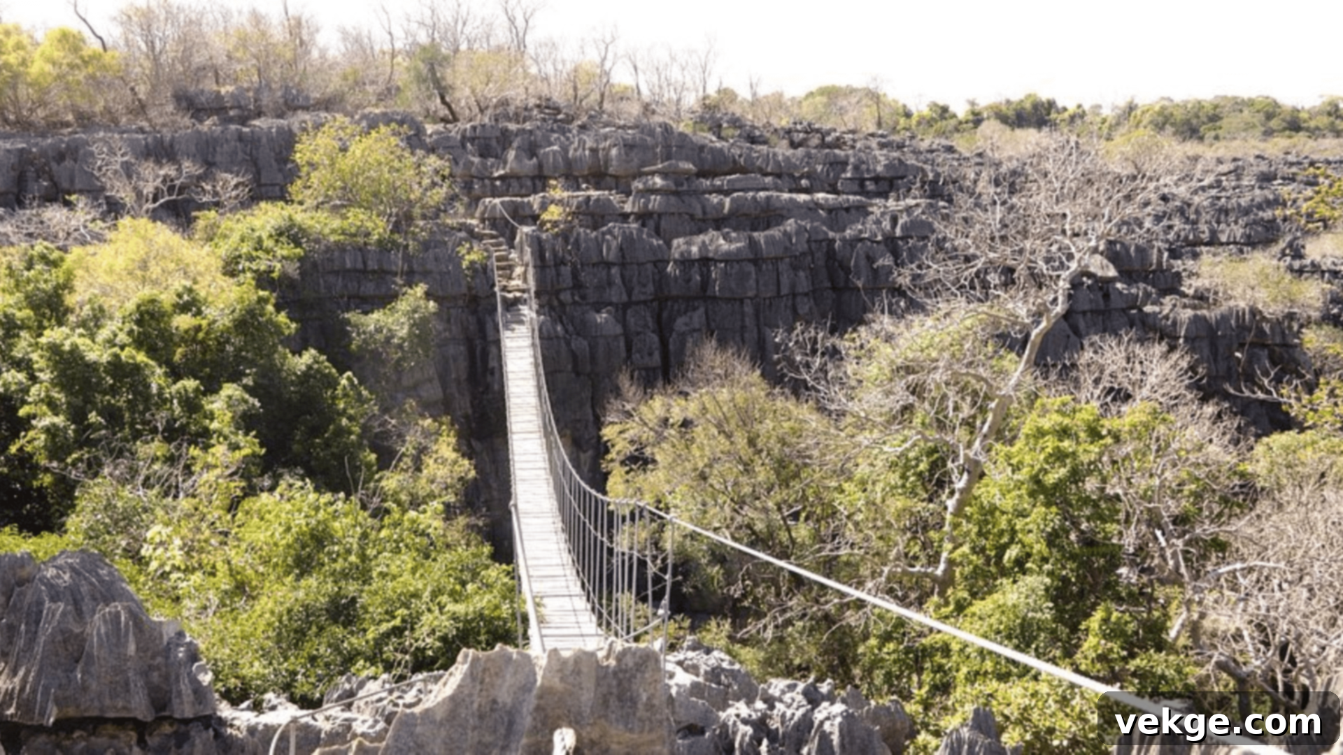 Ankarana Reserve - Limestone Caves and Wildlife Madagascar